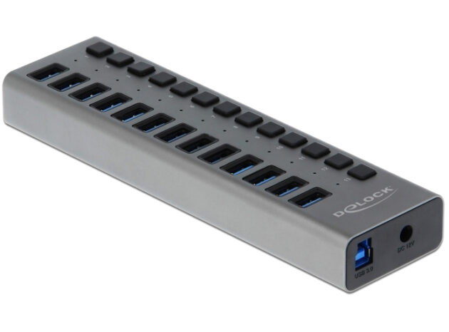 DELOCK USB hub 63738 με διακόπτες, 13x θυρών, 5Gbps, γκρι
