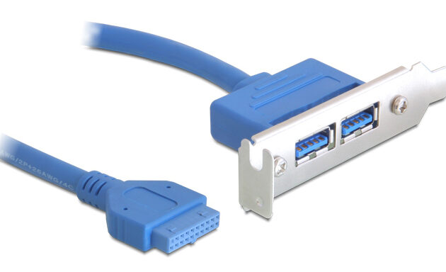 DELOCK κάρτα επέκτασης USB 19 pin σε 2x USB 3.0 82976, low profile