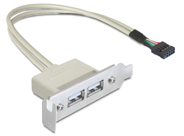 DELOCK κάρτα επέκτασης USB 9 pin σε 2x USB 2.0 83119, low profile