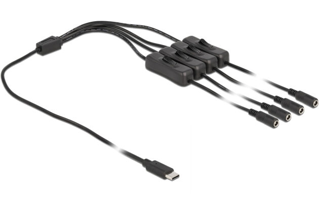 DELOCK καλώδιο USB Type-C σε 4x DC 5.5 x 2.1mm 86802, 1m, μαύρο